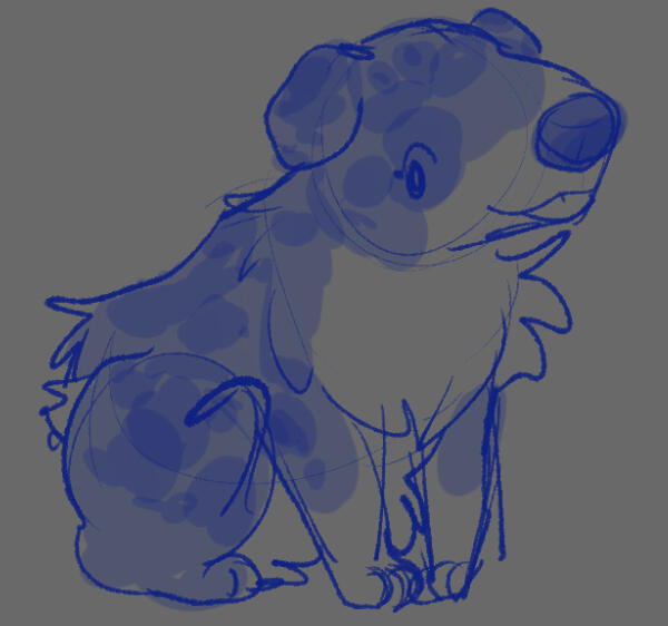 Pet portrait