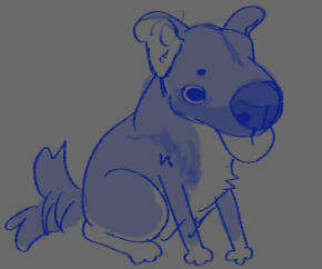 Pet portrait
